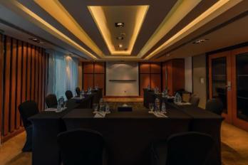 Radisson Blu Training Room 2